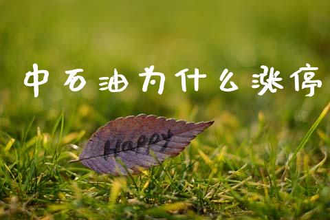 中石油为什么涨停_https://m.ycdhulan.com_财经要闻_第1张