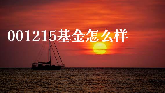 001215基金怎么样_https://m.ycdhulan.com_国际金融_第1张