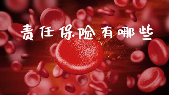 责任保险有哪些_https://m.ycdhulan.com_财经要闻_第1张
