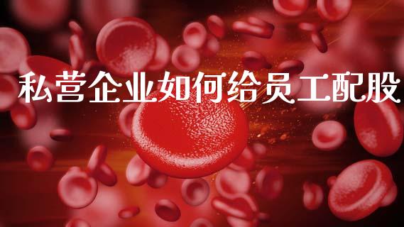 私营企业如何给员工配股_https://m.ycdhulan.com_财经要闻_第1张