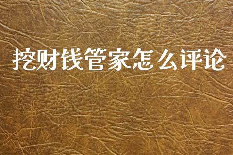 挖财钱管家怎么评论_https://m.ycdhulan.com_财经要闻_第1张