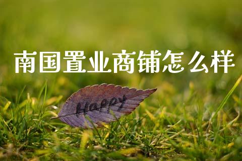 南国置业商铺怎么样_https://m.ycdhulan.com_股市在线_第1张
