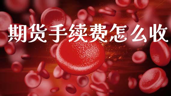 期货手续费怎么收_https://m.ycdhulan.com_国际金融_第1张