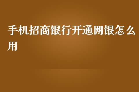手机招商银行开通网银怎么用_https://m.ycdhulan.com_证券新闻_第1张