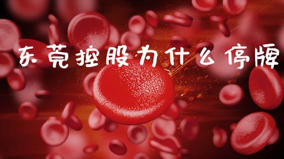 东莞控股为什么停牌_https://m.ycdhulan.com_股市在线_第1张