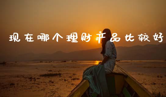 现在哪个理财产品比较好_https://m.ycdhulan.com_国际金融_第1张