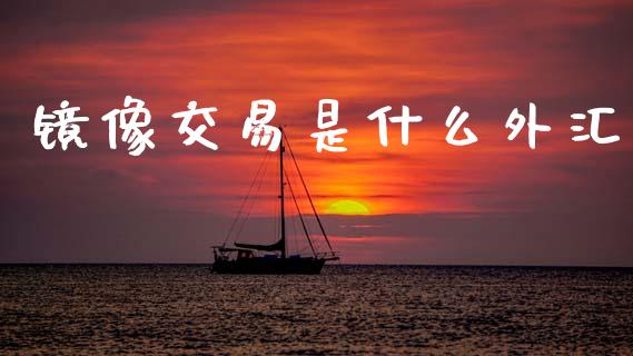 镜像交易是什么外汇_https://m.ycdhulan.com_证券新闻_第1张
