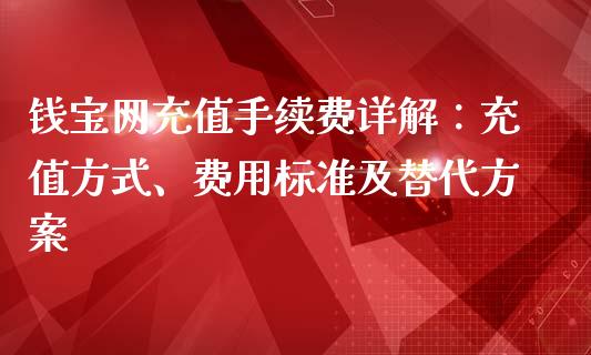 钱宝网充值手续费详解：充值方式、费用标准及替代方案_https://m.ycdhulan.com_期货交易_第1张