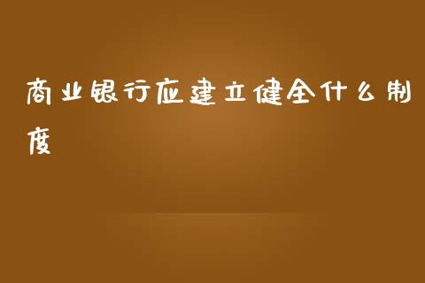 商业银行应建立健全什么制度_https://m.ycdhulan.com_股市在线_第1张