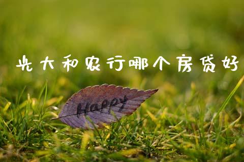 光大和农行哪个房贷好_https://m.ycdhulan.com_国际金融_第1张