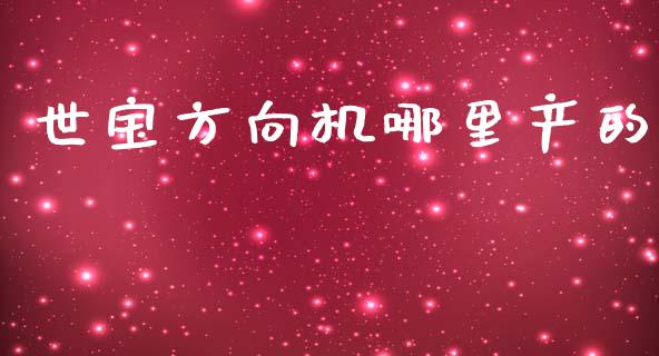 世宝方向机哪里产的_https://m.ycdhulan.com_国际金融_第1张