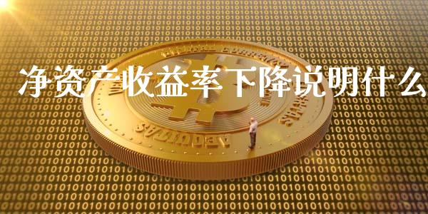 净资产收益率下降说明什么_https://m.ycdhulan.com_财经要闻_第1张