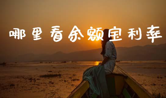 哪里看余额宝利率_https://m.ycdhulan.com_国际金融_第1张