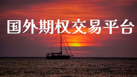 国外期权交易平台_https://m.ycdhulan.com_理财产品_第1张