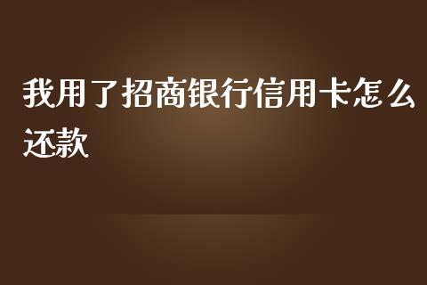 我用了招商银行信用卡怎么还款_https://m.ycdhulan.com_股市在线_第1张