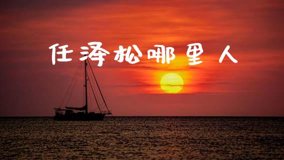 任泽松哪里人_https://m.ycdhulan.com_股市在线_第1张