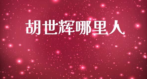 胡世辉哪里人_https://m.ycdhulan.com_股市在线_第1张