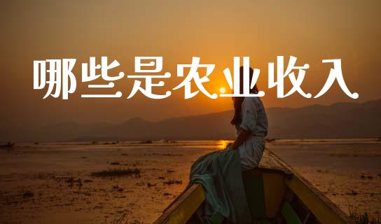 哪些是农业收入_https://m.ycdhulan.com_财经要闻_第1张