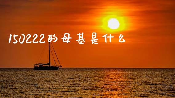 150222的母基是什么_https://m.ycdhulan.com_财经要闻_第1张