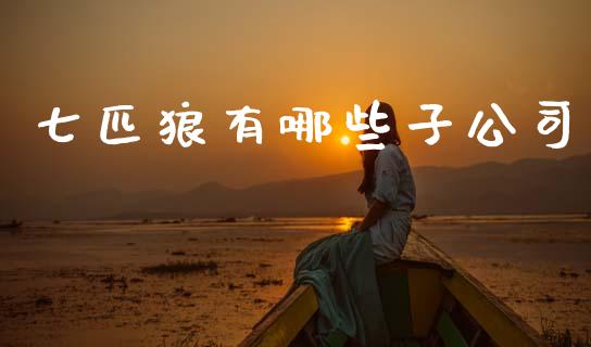 七匹狼有哪些子公司_https://m.ycdhulan.com_财经要闻_第1张