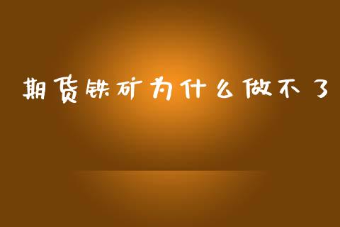 期货铁矿为什么做不了_https://m.ycdhulan.com_理财产品_第1张