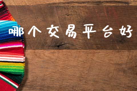 哪个交易平台好_https://m.ycdhulan.com_理财产品_第1张