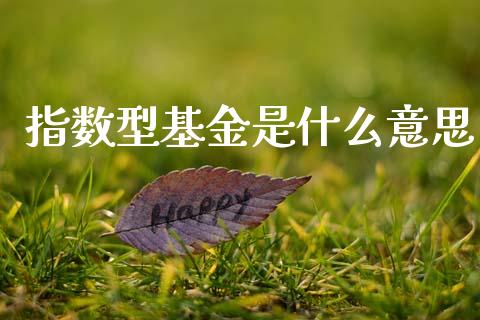 指数型基金是什么意思_https://m.ycdhulan.com_理财产品_第1张