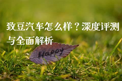 致豆汽车怎么样？深度评测与全面解析_https://m.ycdhulan.com_财经要闻_第1张