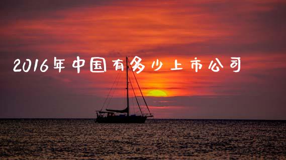 2016年中国有多少上市公司_https://m.ycdhulan.com_国际金融_第1张