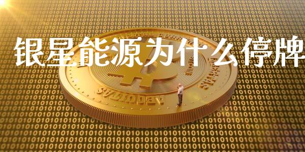 银星能源为什么停牌_国际金融_第1张_财经要闻_股市在线_理财产品_国际金融 银星能源为什么停牌_https://m.ycdhulan.com_国际金融_第1张