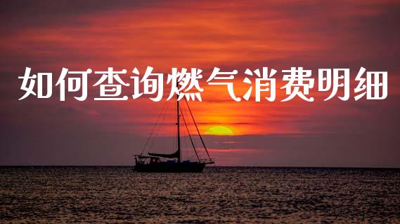 如何查询燃气消费明细_https://m.ycdhulan.com_财经要闻_第1张