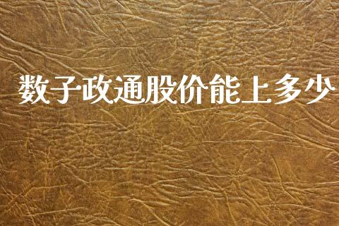 数子政通股价能上多少_https://m.ycdhulan.com_财经要闻_第1张