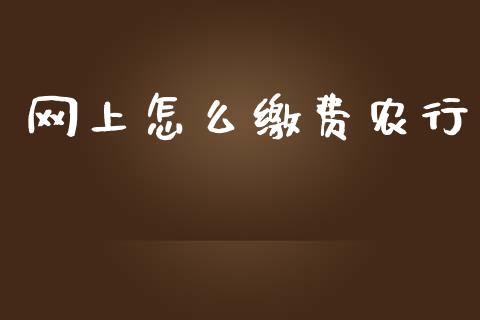 网上怎么缴费农行_https://m.ycdhulan.com_财经要闻_第1张
