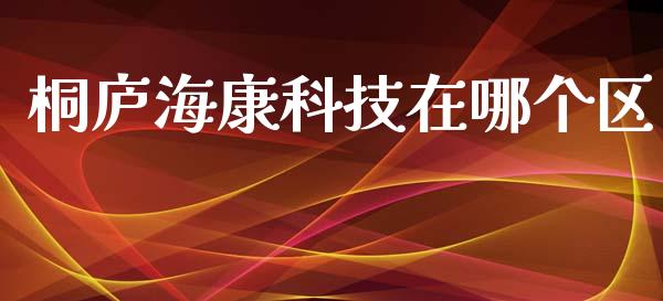 桐庐海康科技在哪个区_https://m.ycdhulan.com_证券新闻_第1张