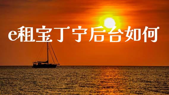 e租宝丁宁后台如何_https://m.ycdhulan.com_股市在线_第1张