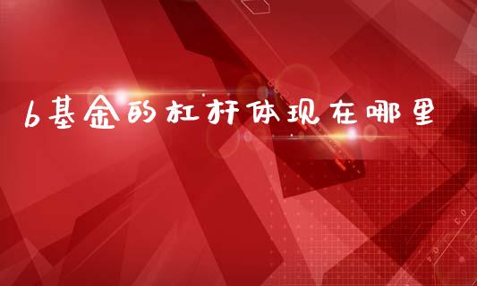 b基金的杠杆体现在哪里_https://m.ycdhulan.com_财经要闻_第1张