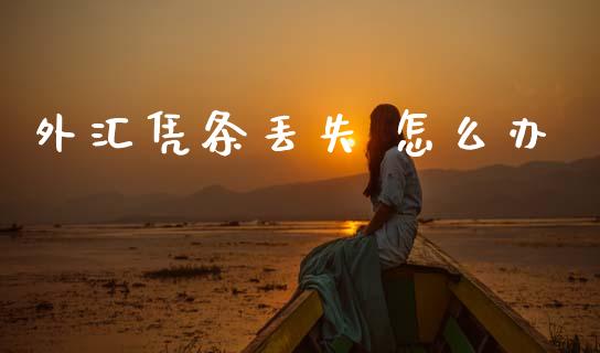 外汇凭条丢失 怎么办_https://m.ycdhulan.com_股市在线_第1张