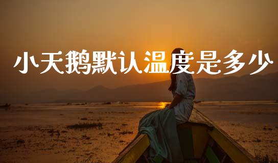 小天鹅默认温度是多少_https://m.ycdhulan.com_财经要闻_第1张