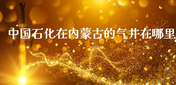 中国石化在内蒙古的气井在哪里_https://m.ycdhulan.com_国际金融_第1张