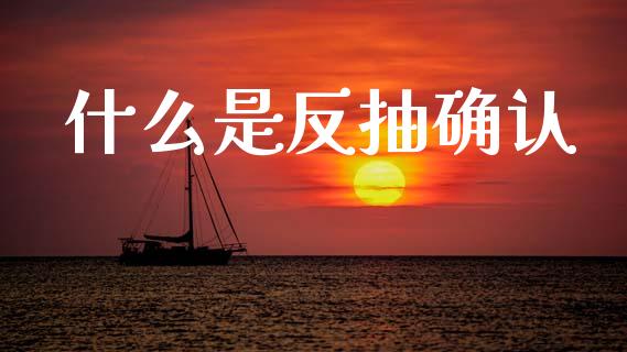 什么是反抽确认_https://m.ycdhulan.com_国际金融_第1张