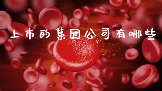 上市的集团公司有哪些_https://m.ycdhulan.com_股市在线_第1张