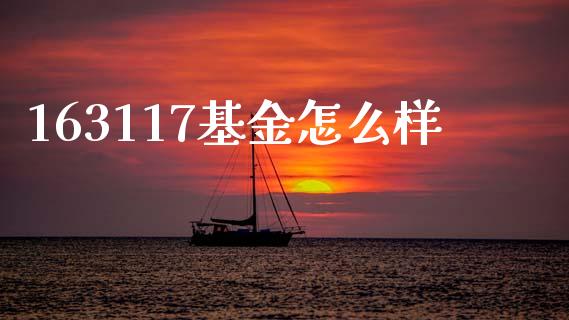 163117基金怎么样_https://m.ycdhulan.com_理财产品_第1张