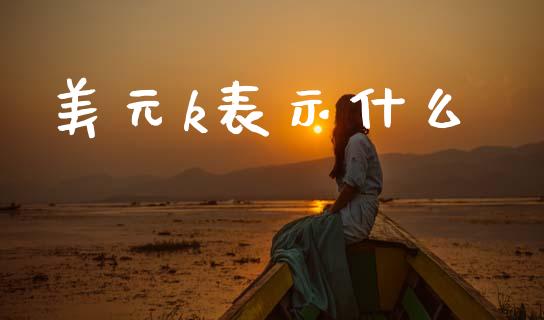 美元k表示什么_https://m.ycdhulan.com_证券新闻_第1张
