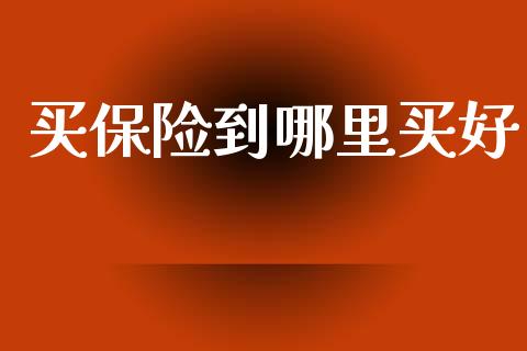 买保险到哪里买好_https://m.ycdhulan.com_国际金融_第1张