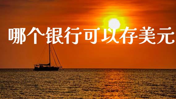 哪个银行可以存美元_https://m.ycdhulan.com_证券新闻_第1张