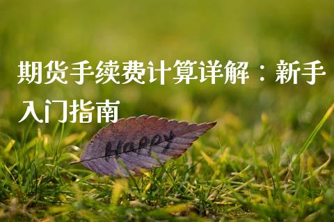 期货手续费计算详解：新手入门指南_https://m.ycdhulan.com_股市在线_第1张