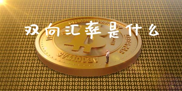 双向汇率是什么_https://m.ycdhulan.com_证券新闻_第1张