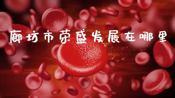 廊坊市荣盛发展在哪里_https://m.ycdhulan.com_国际金融_第1张