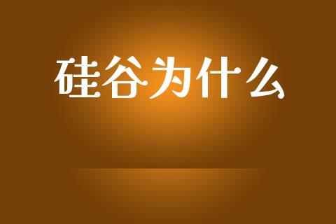 硅谷为什么_https://m.ycdhulan.com_财经要闻_第1张