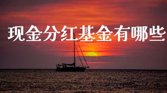 现金分红基金有哪些_https://m.ycdhulan.com_财经要闻_第1张
